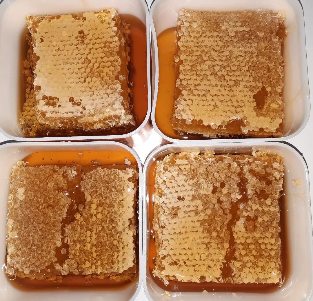 عسل تولید شده در کندو صنعتی